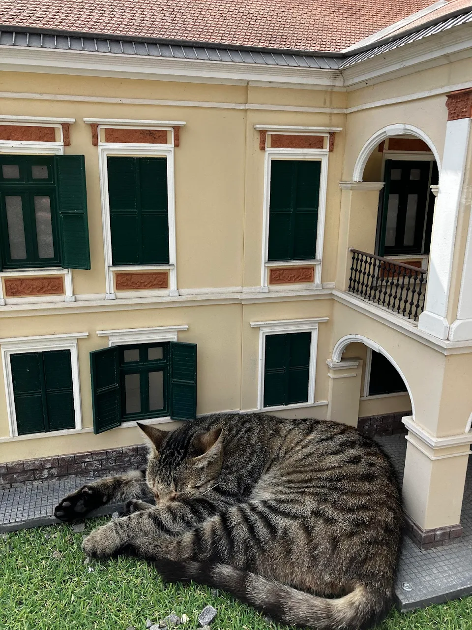 Stray kitten fell asleep near a miniature model of a house