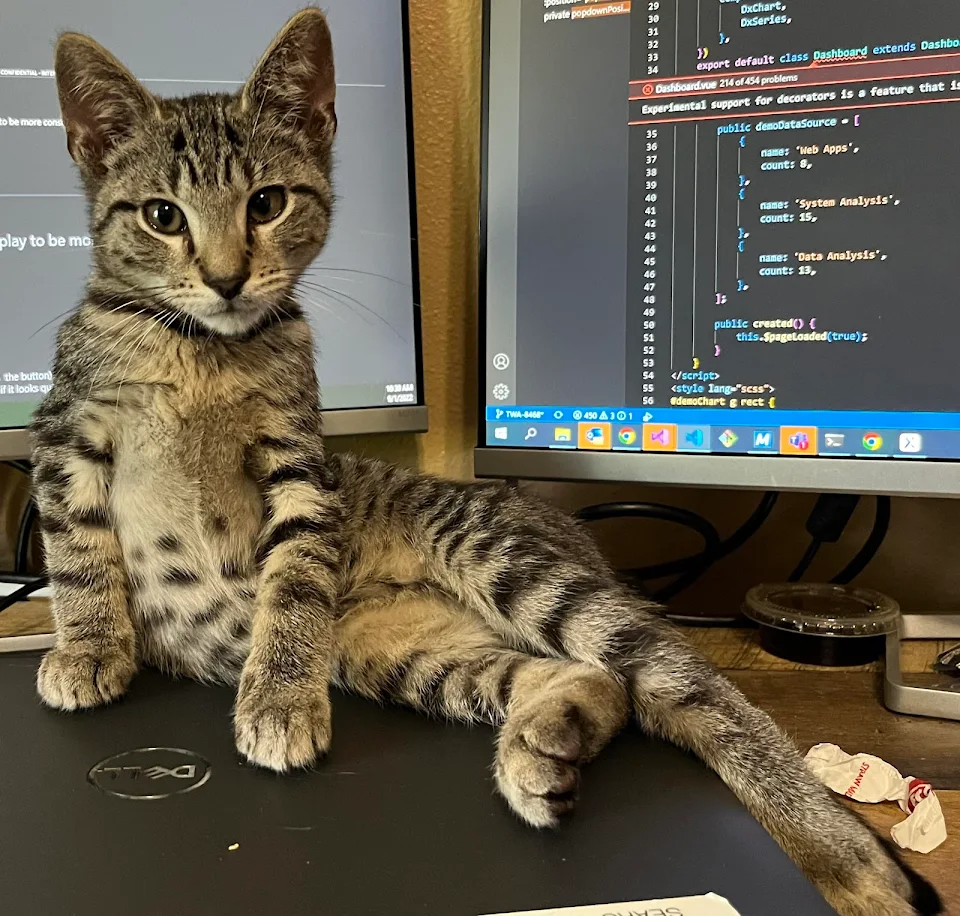 Helping me code while being all cute. Great co-worker!