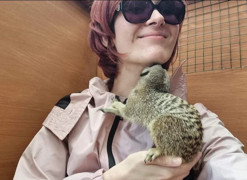 a meerkat giving you smooches is pretty awesome 😍