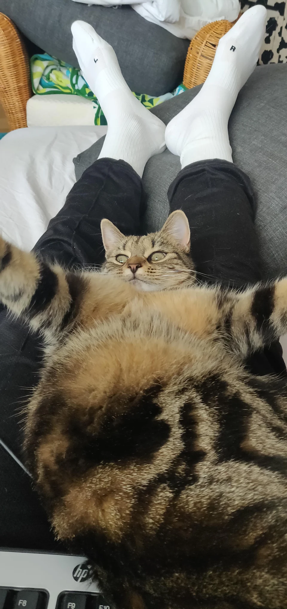 Maja just wants to relax and derp all day long