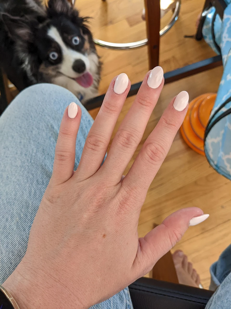 This pup is loving the nails!