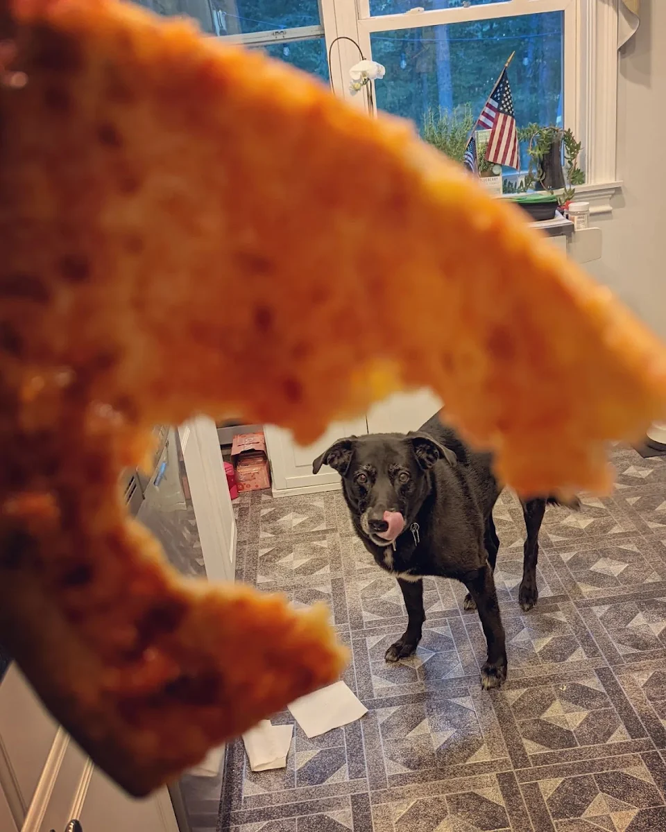 someone got into the pizza. Perfect timing.