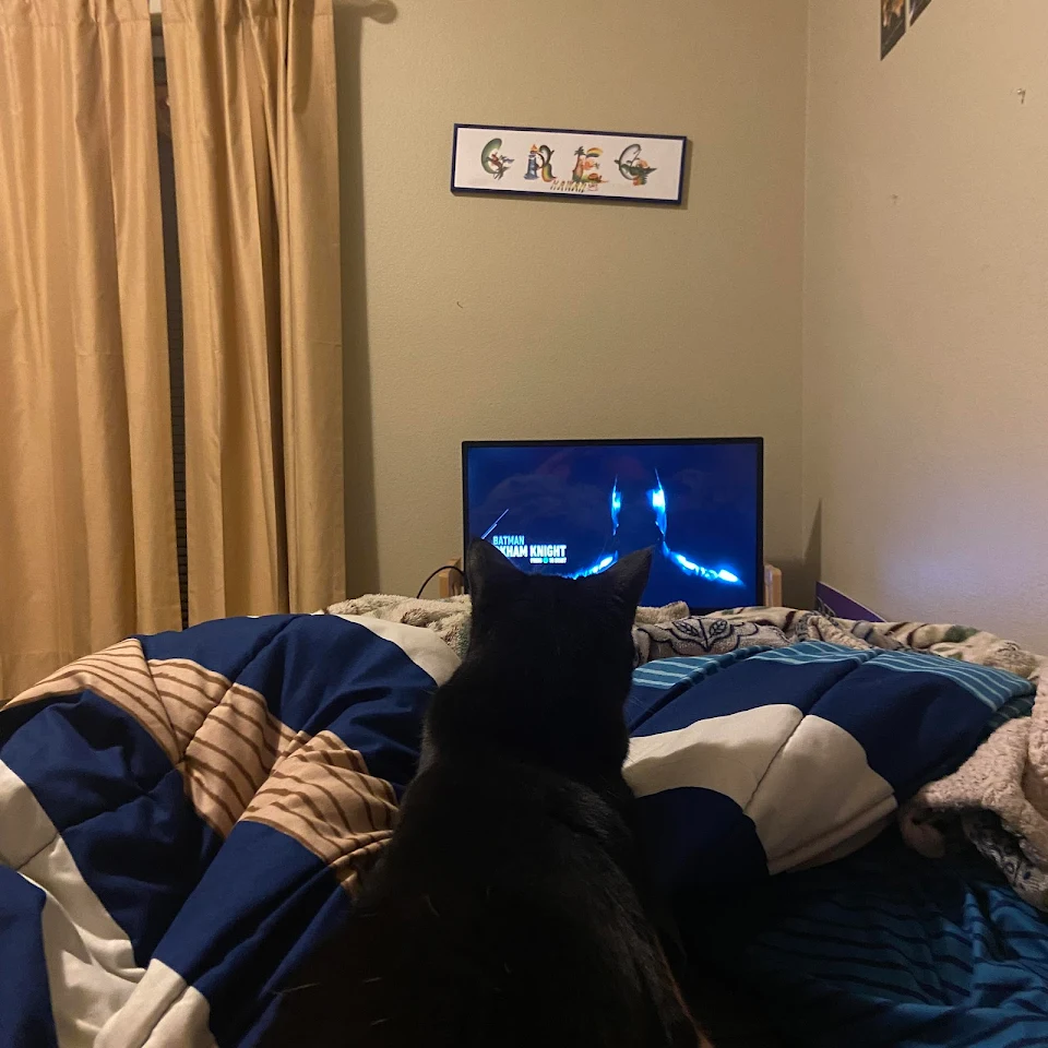 Cat felt inspired watching me play Arkham