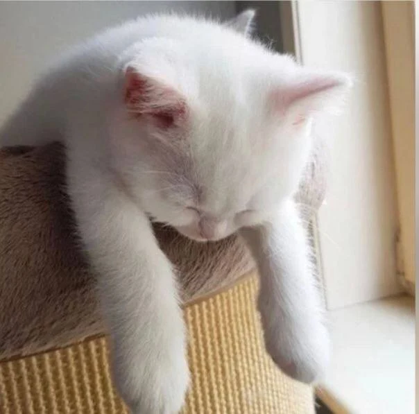 I think she's so tired? or feeling sleepy? 🥱 😴 🤣