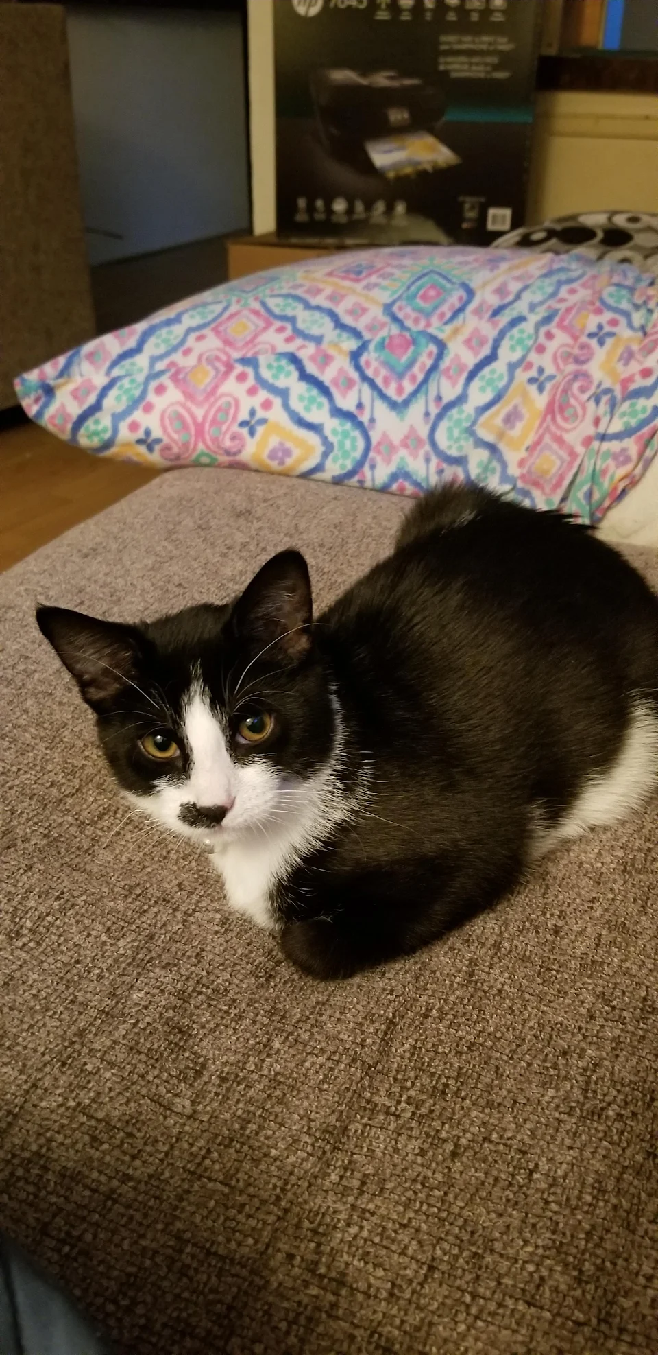 BB's very first loaf