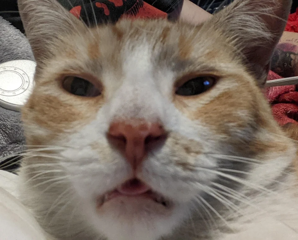 When you're on your phone and accidentally turn on your front facing camera.