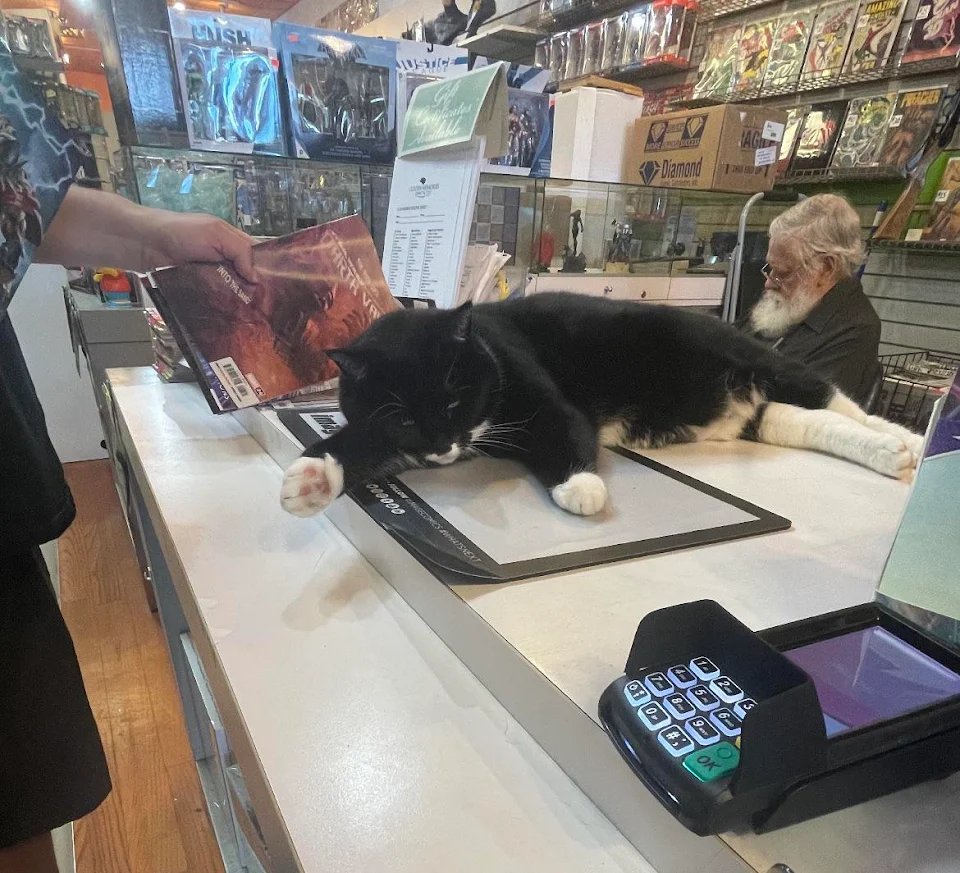 My local comic book shop has a cat, sometimes the business gets in the way of her naps