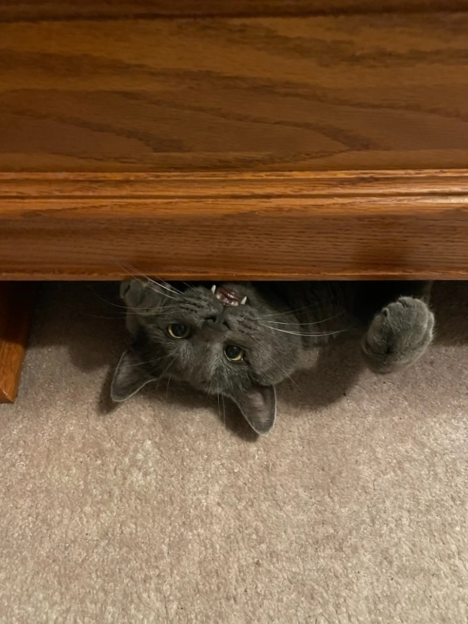 There's a monster under my bed.