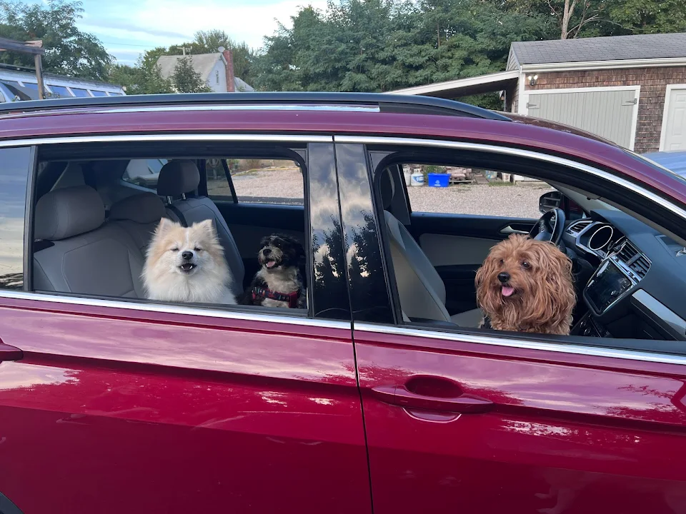 “Get in loser, we’re going for a walk!”