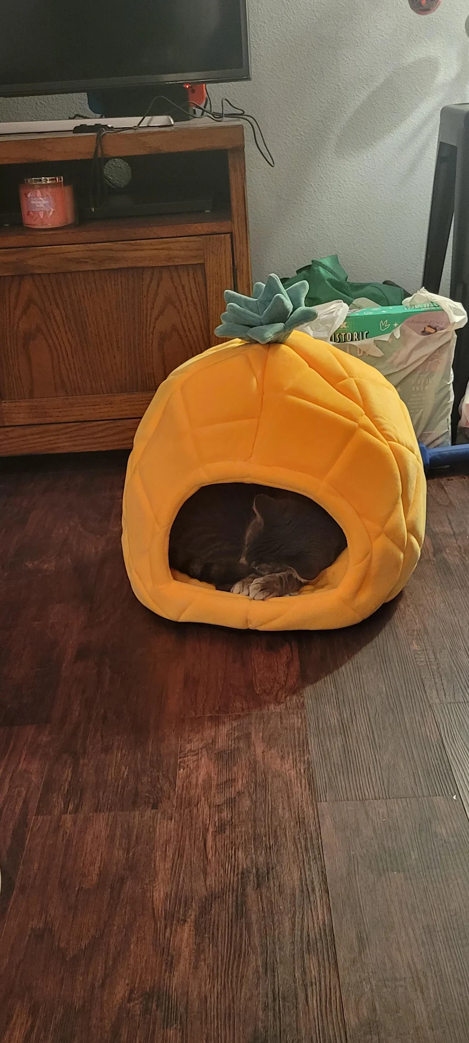 My little man loves napping in his pineapple