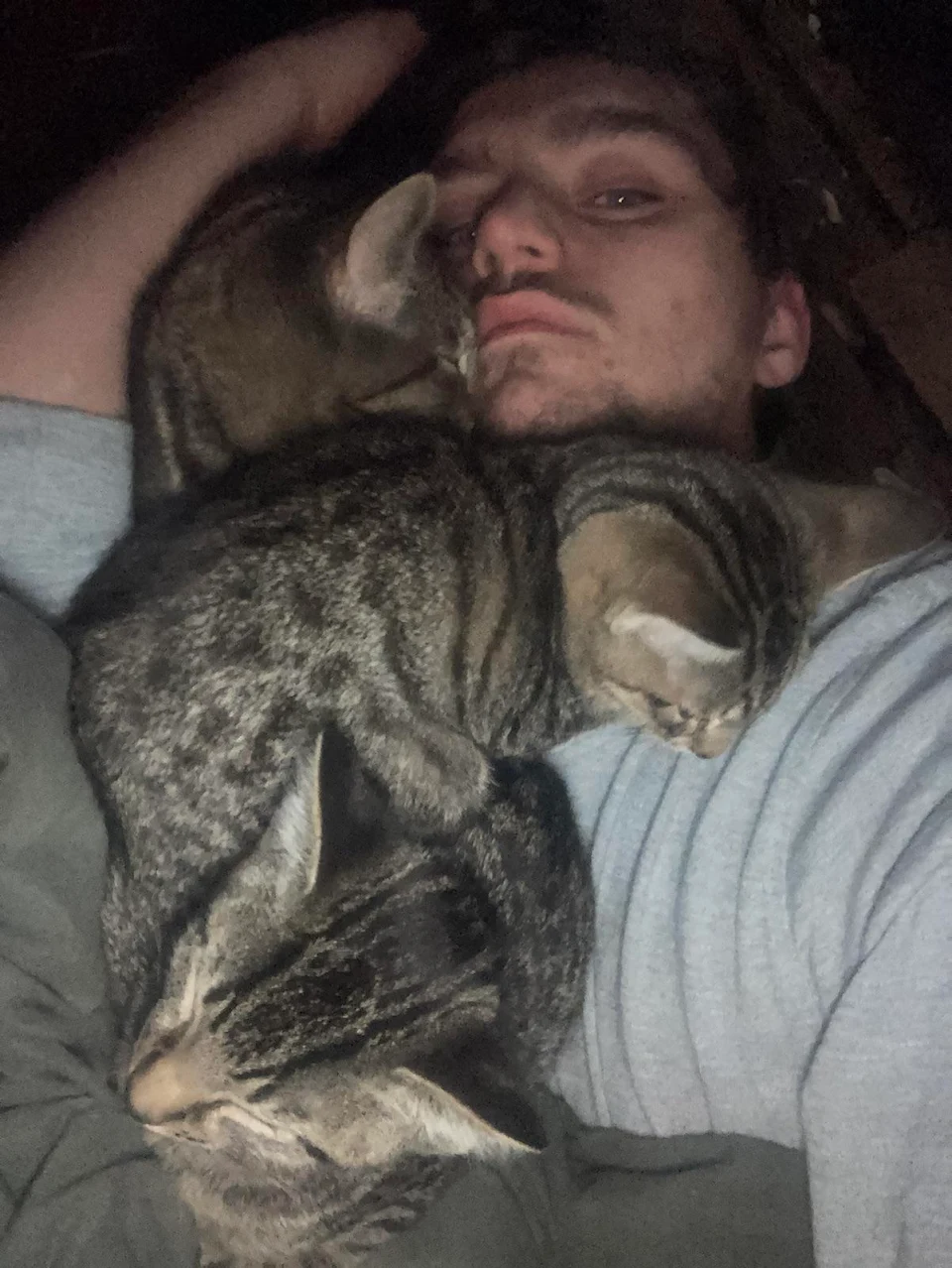 Me trying to get a peaceful night sleep, but my kittens wanted to join.