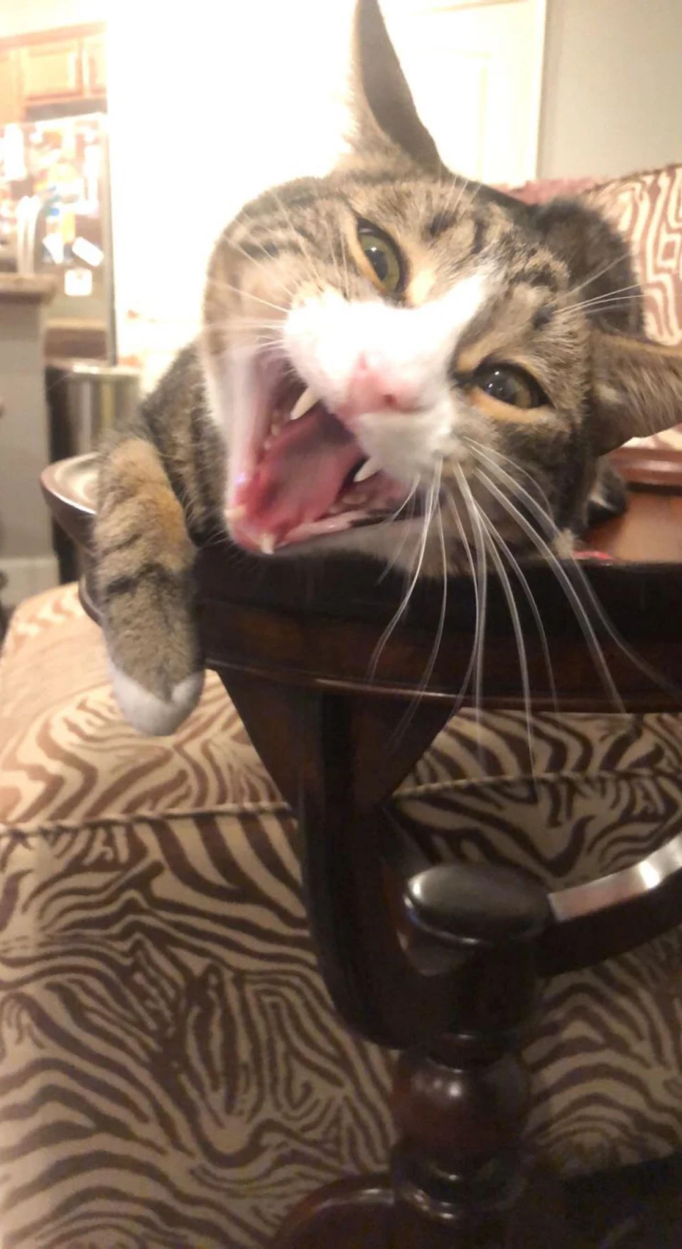 Scary Yawn