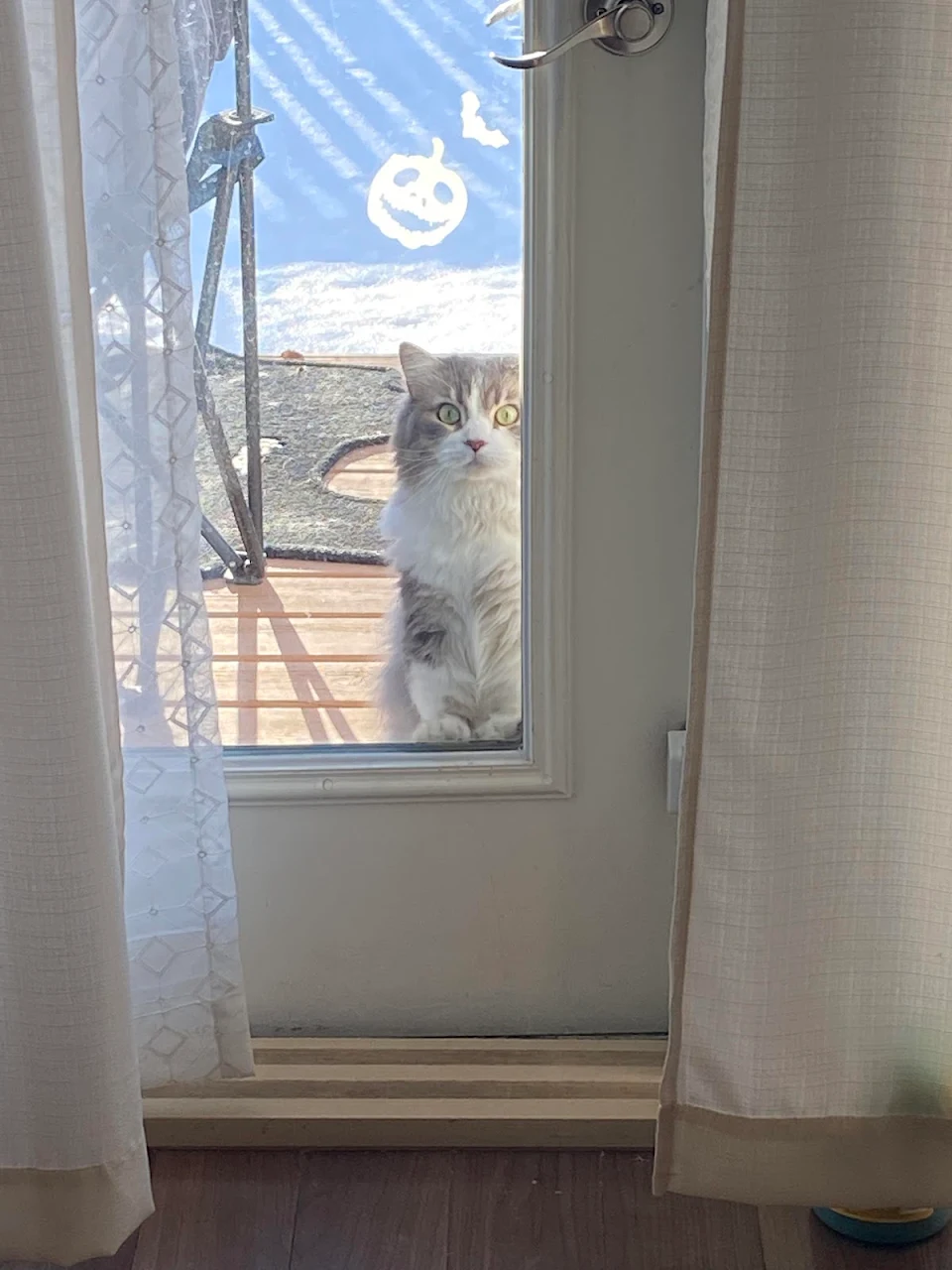 Let me in