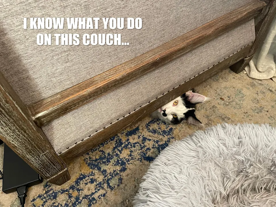 I know what you do on this couch...