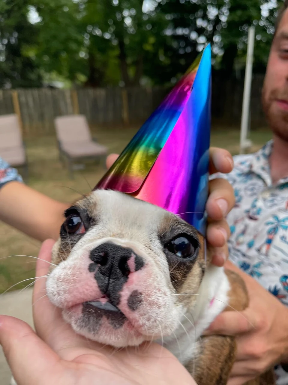 Poppy went to a birthday party