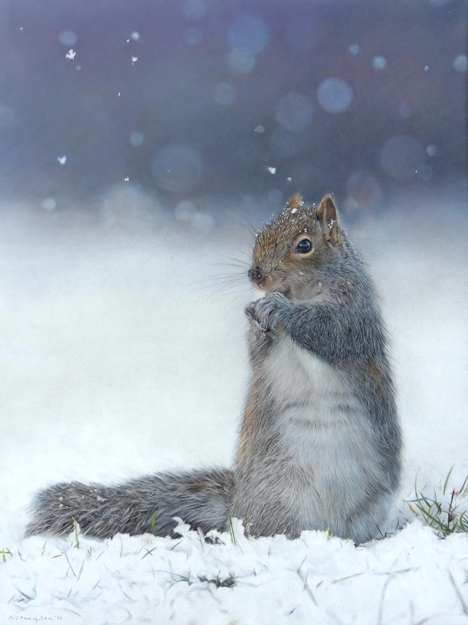 My pastel drawing of a Grey Squirrel, with full info in the comments. Hope you like it!