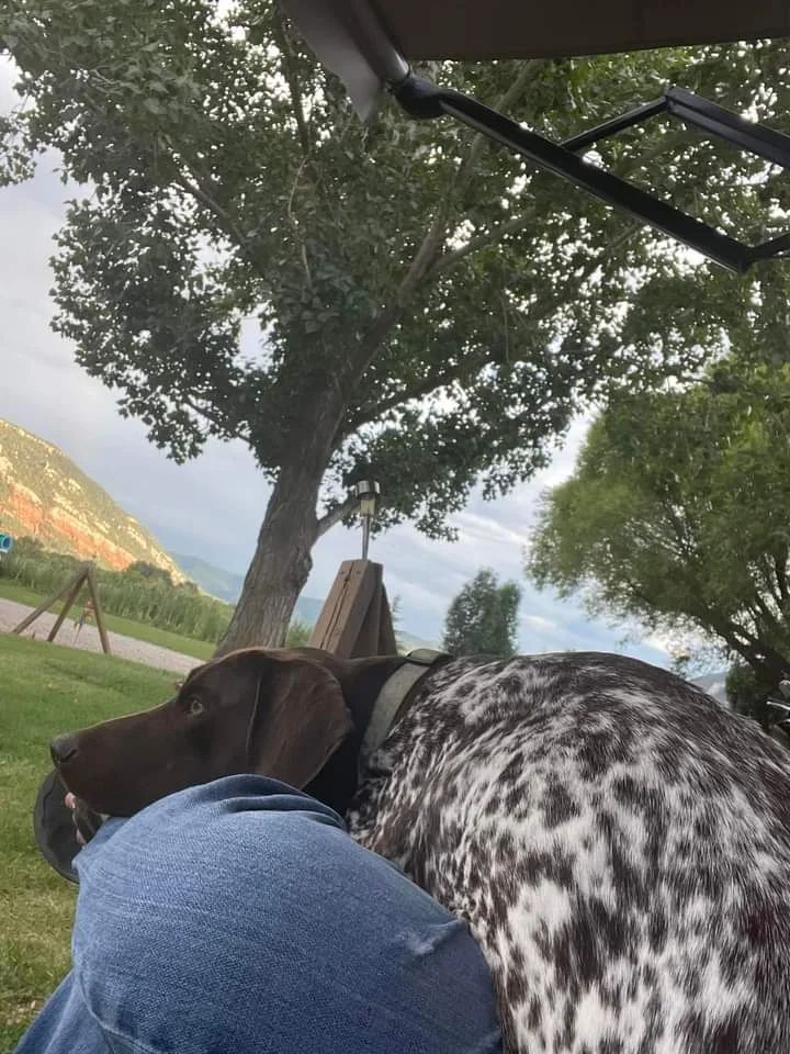 No matter how large she gets, she thinks she's a lap dog.