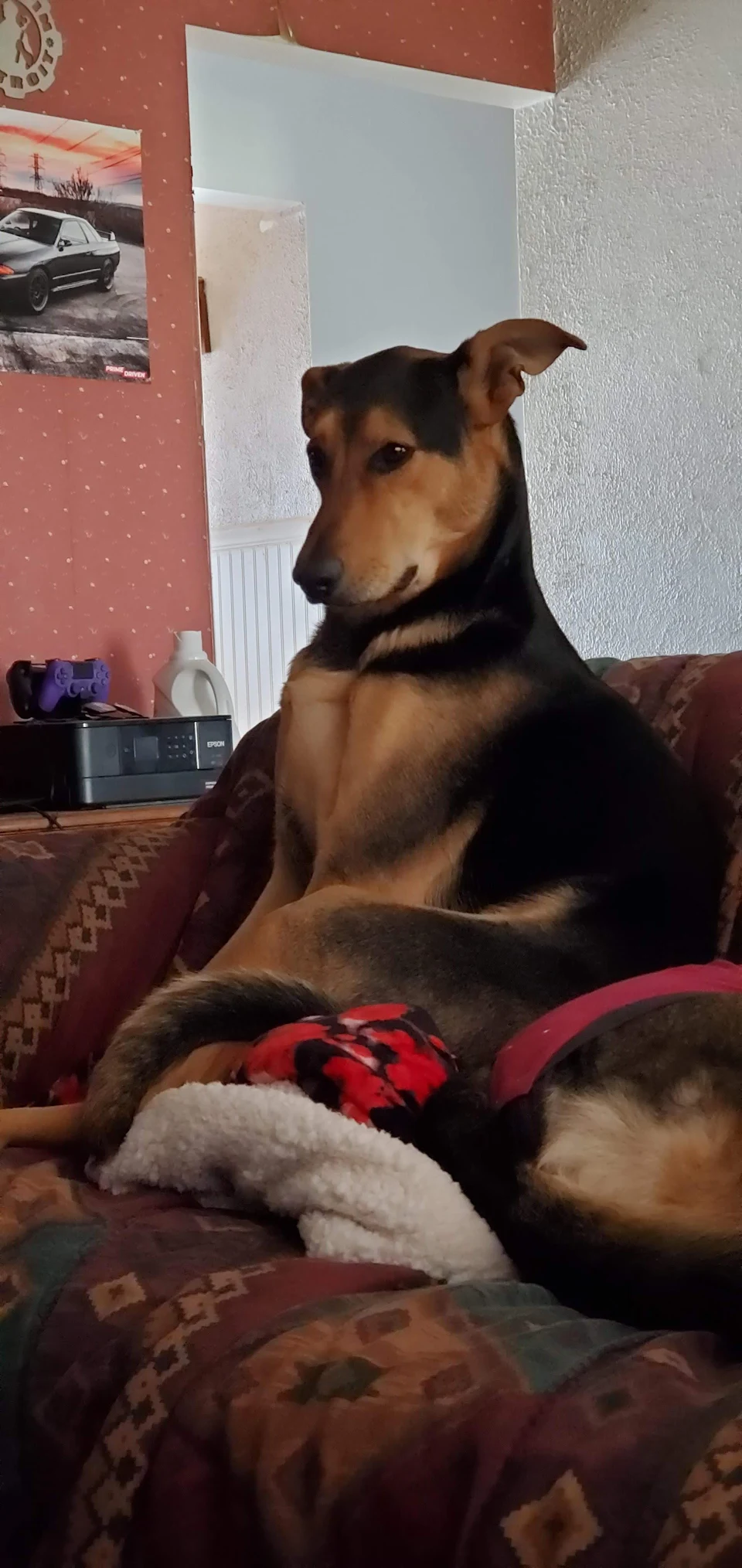 my derp sitting fancy and awkward