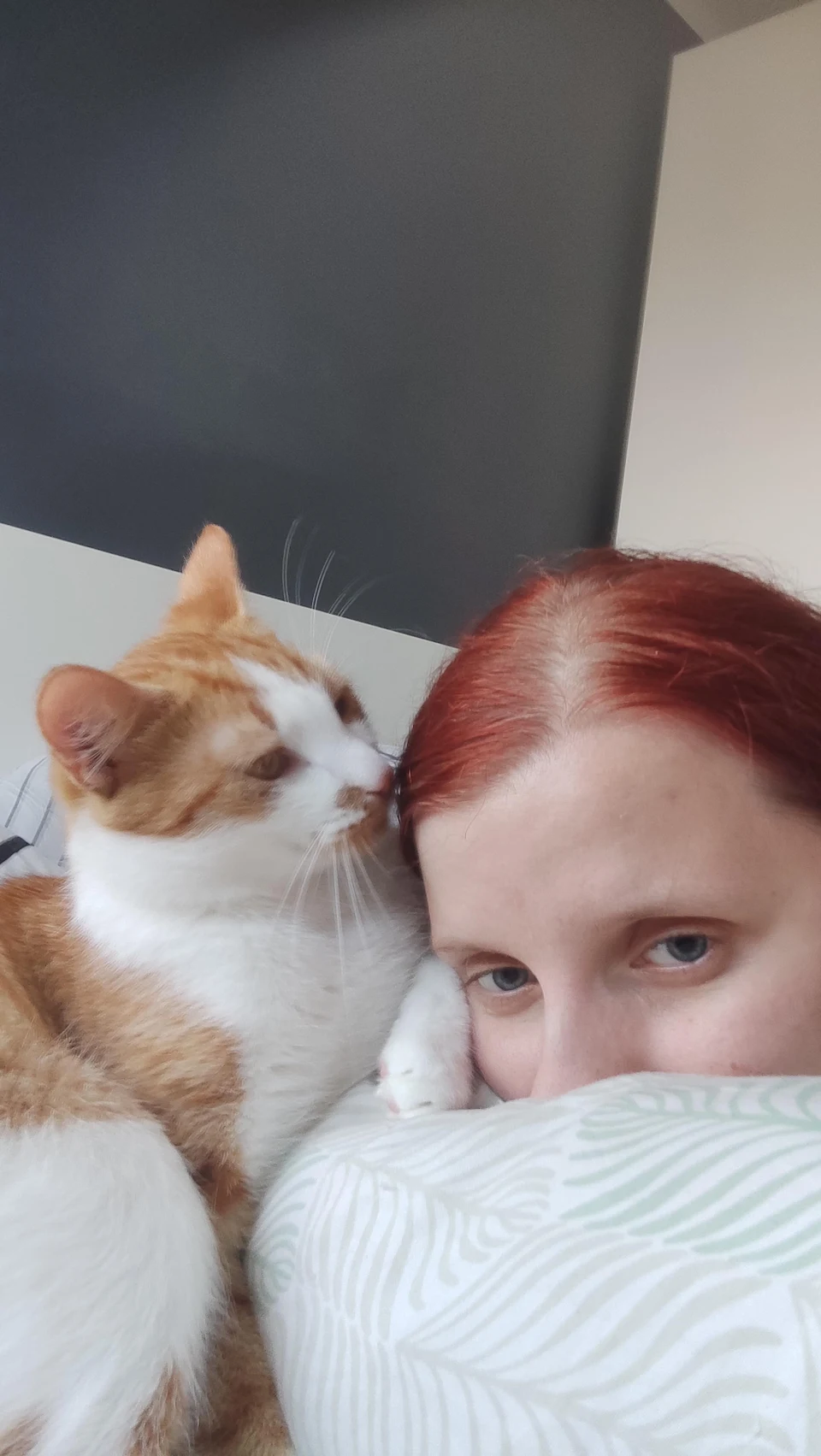 Everyday when I test after work, he comes for cuddles and purrs me relaxing lullabies :)