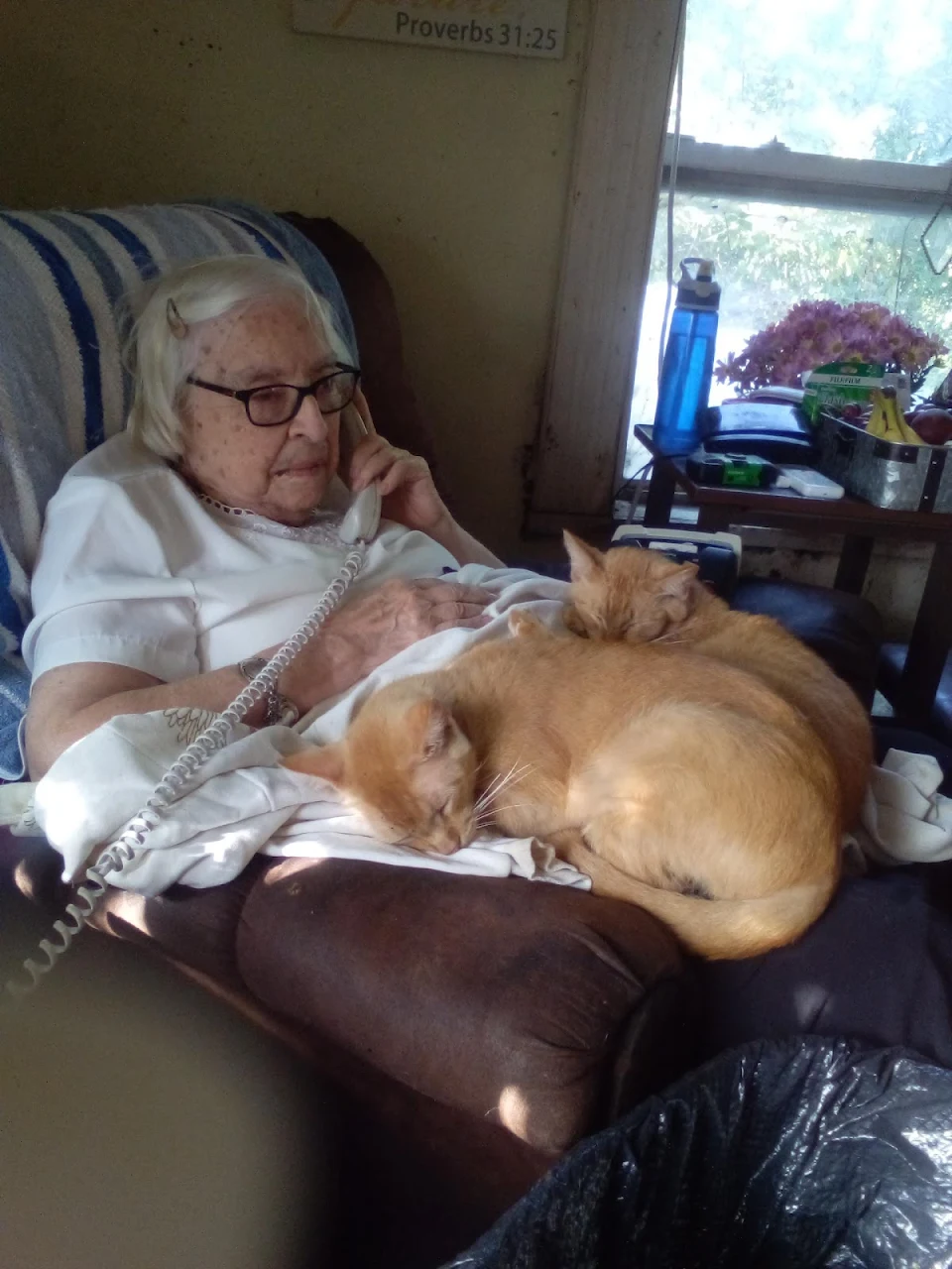 For her 95th birthday, Mom gets cuddles from Golden Boy and Sweet Bot