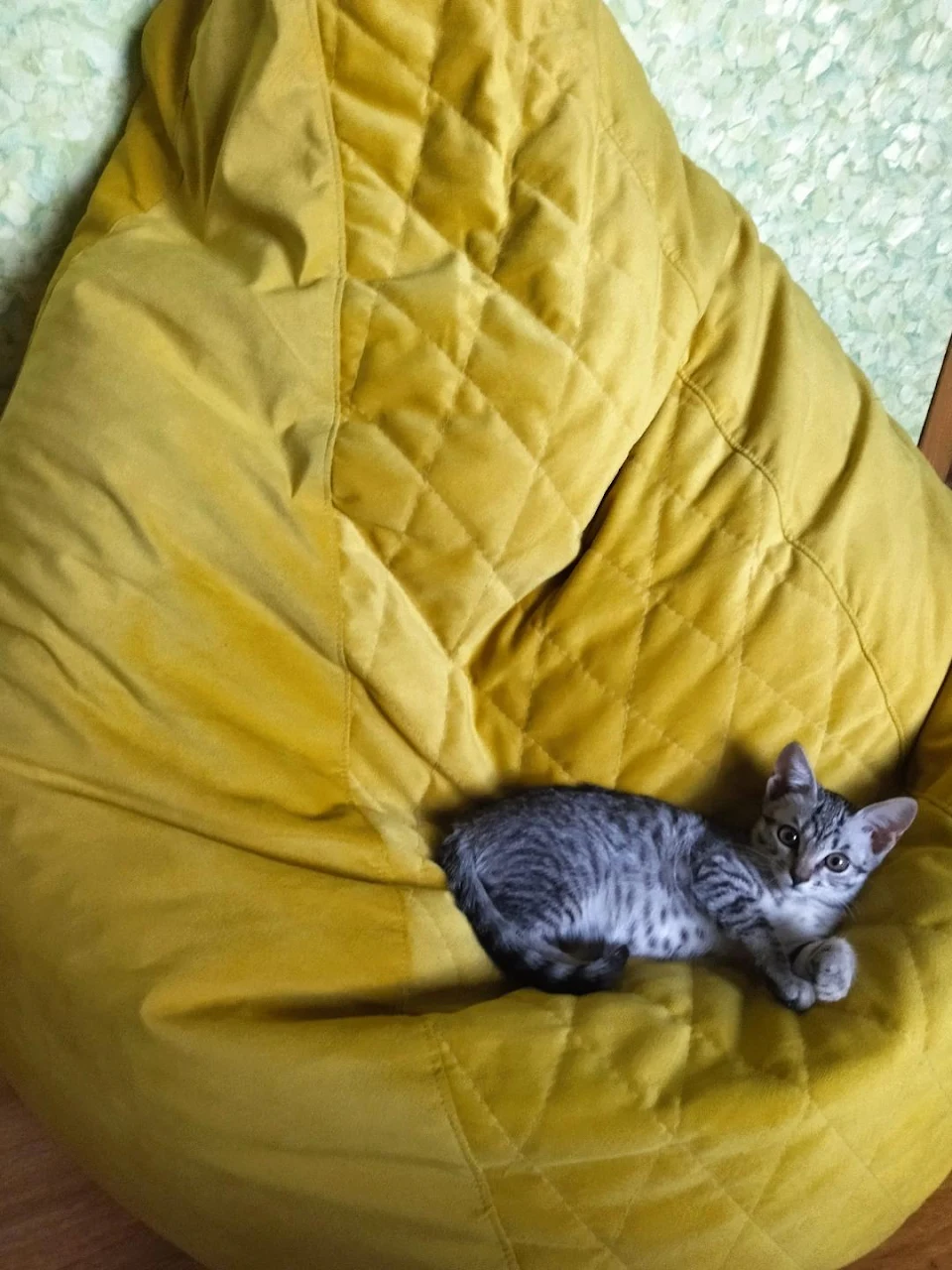 I bought this pouffe for me, but apparently my cat claimed it as its own.