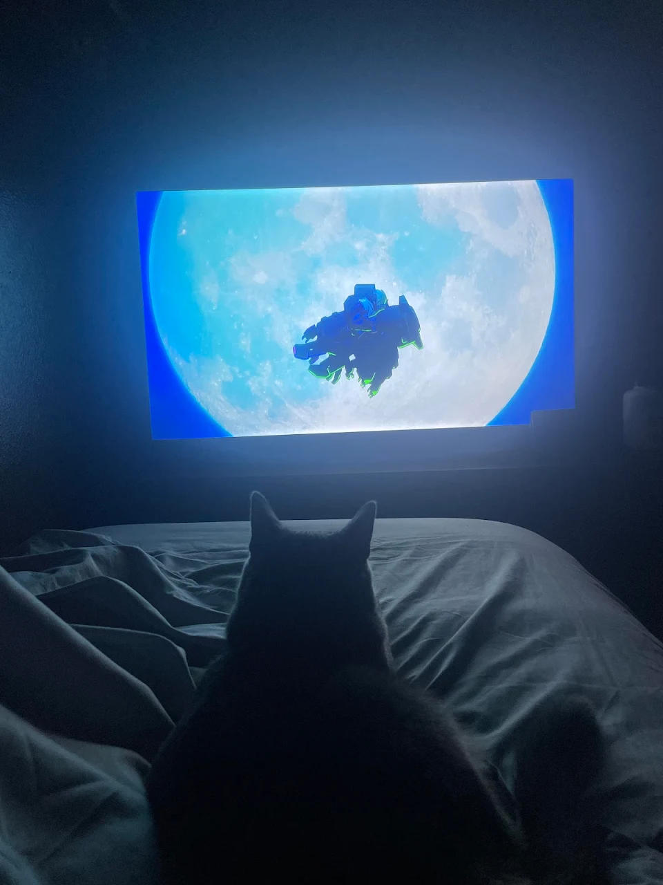 Just me and my cat enjoy the final episode of cyberpunk. 10/10 anime