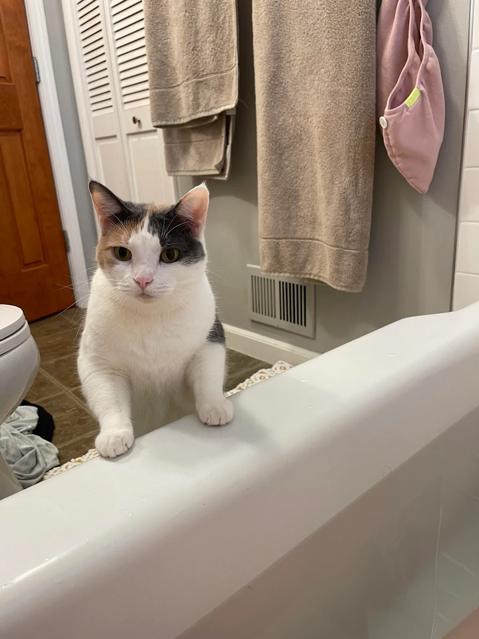 As long as I've had Callie, we've never had a bathtub. Until now.