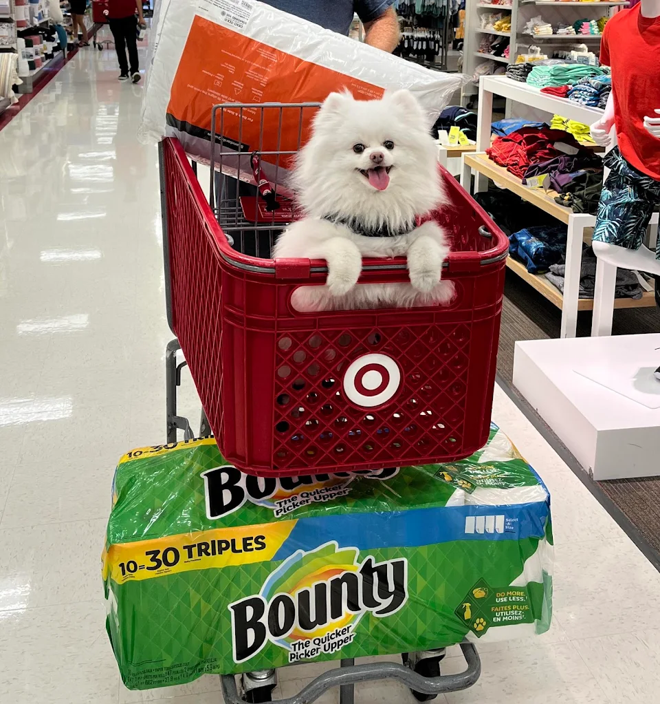 Aspen was absolutely STOKED to join us on our Target run