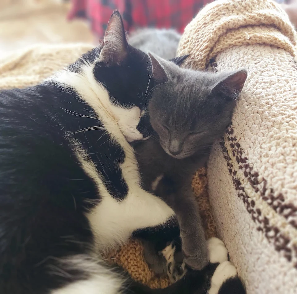 Alice and her adopted son, Archer.