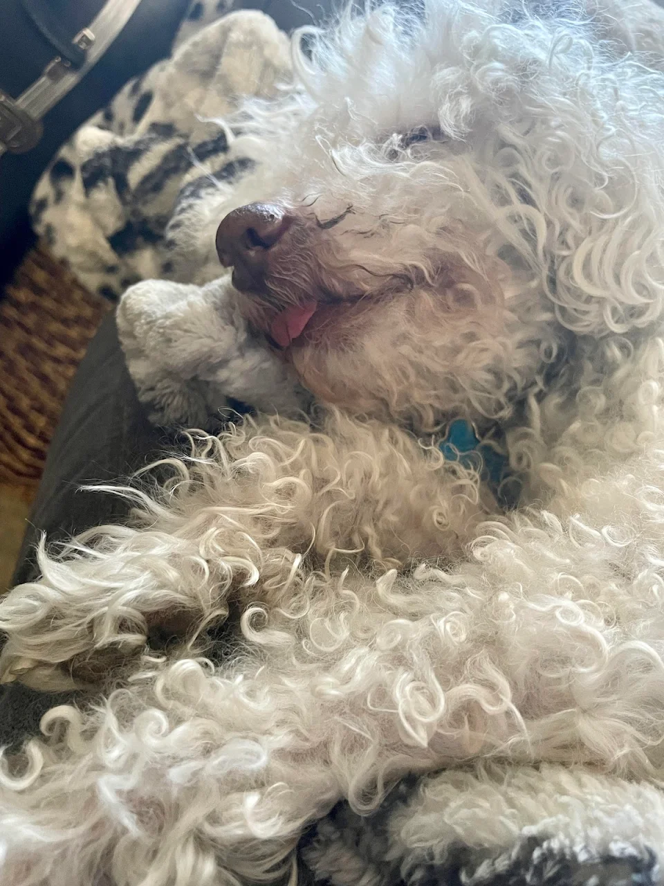 [OC] His tongue sticks out when he’s sleeping hard