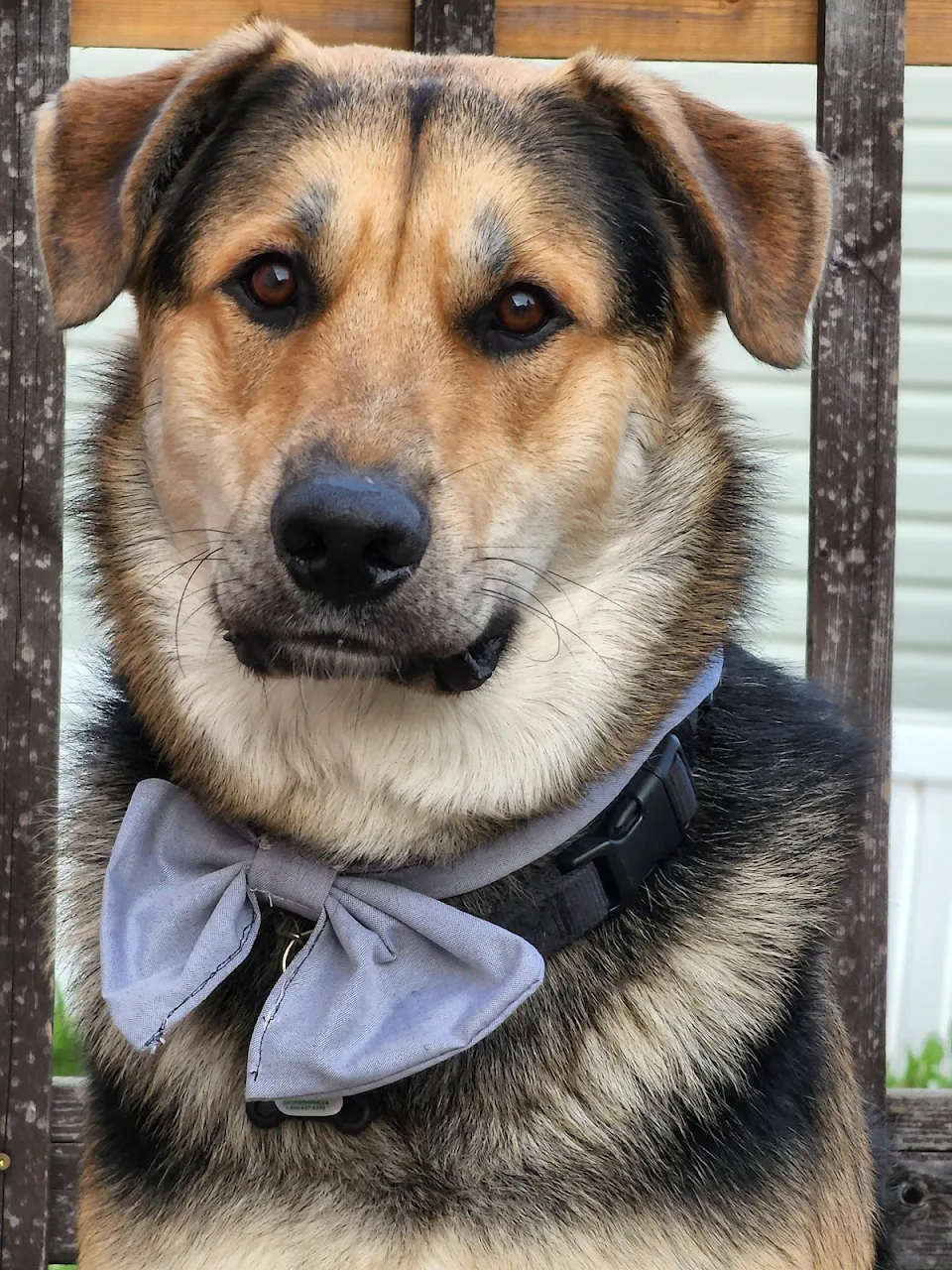 Theodore, looking dapper as heck