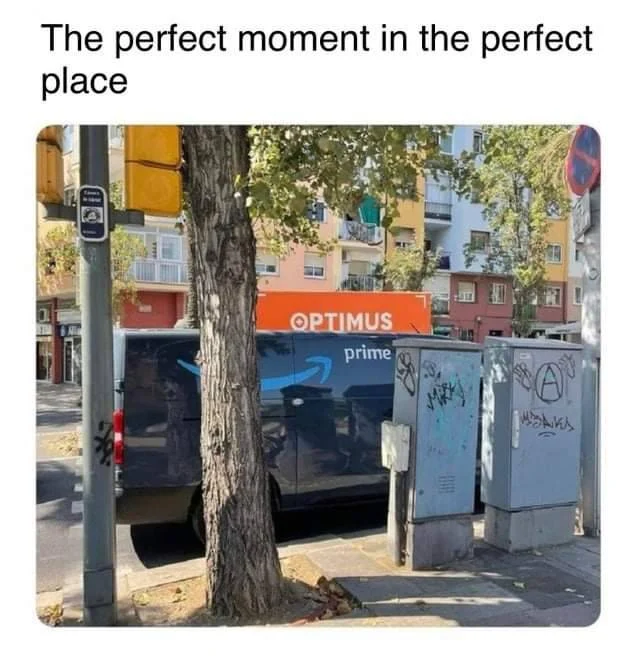 The perfect moment
