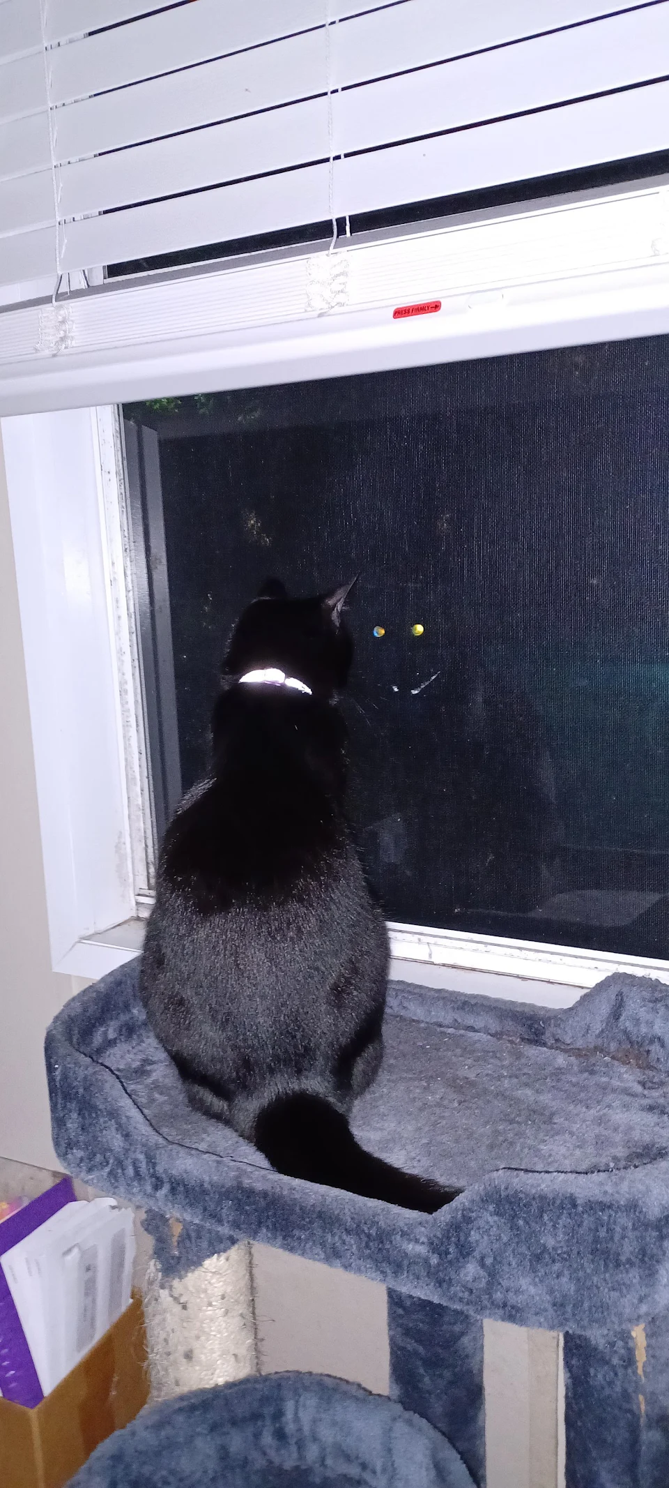 On Full Alert, It's Dark Outside and He Thinks There's Something Out There.