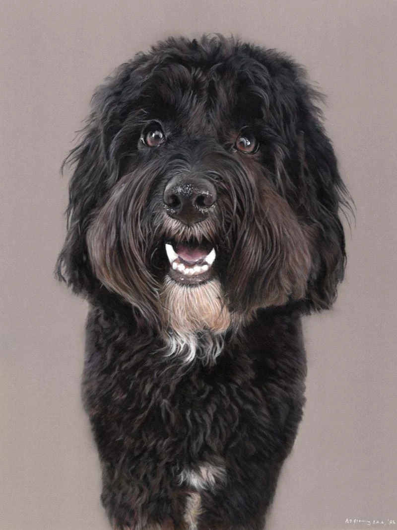Pastel drawing of Daffie, the Tibetan Terrier/Poodle mix. Hope you like it! :)