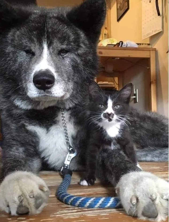 Don't talk to me or my son again