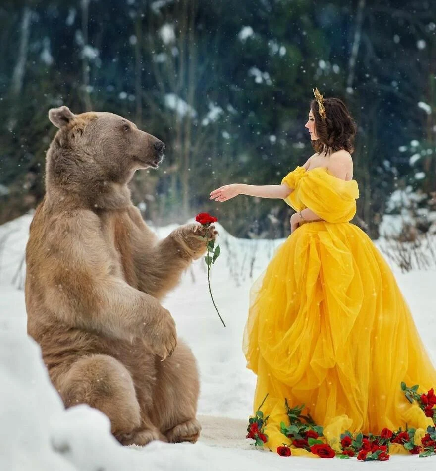 Bear giving a pretty maiden a flower