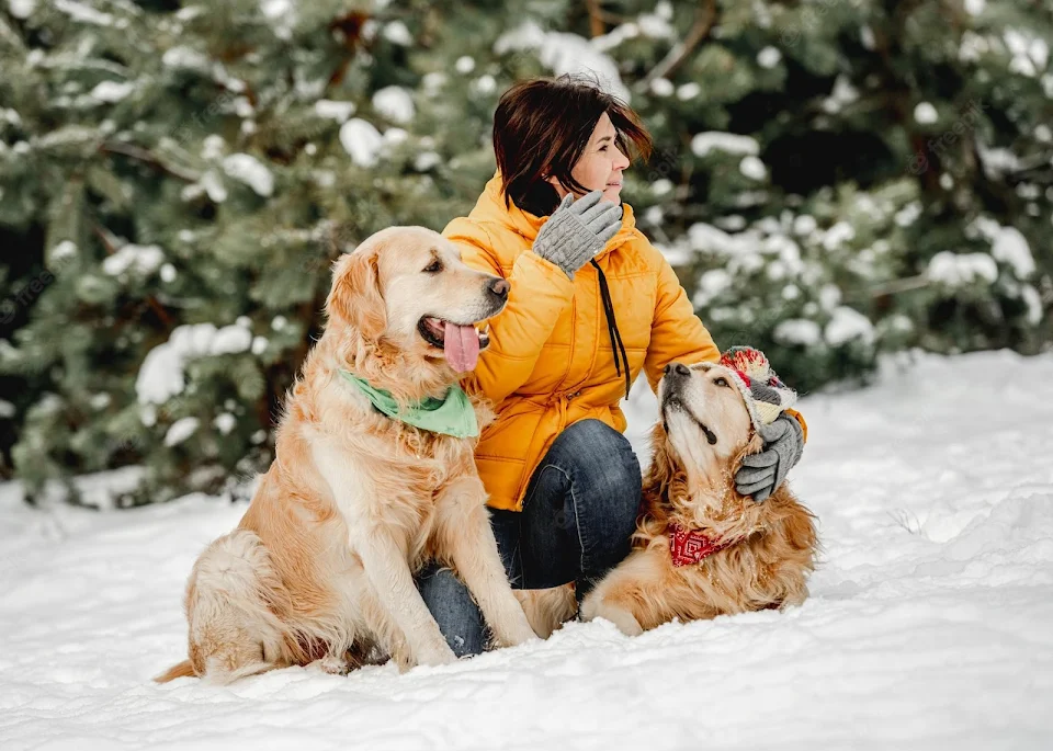 Winter Pet Care Tips for Pet Sitters and Dog Walkers - Narpsuk