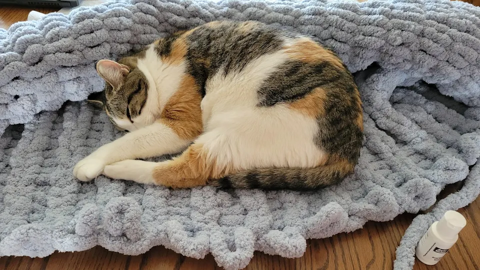 pip stole the blanket that I was making!