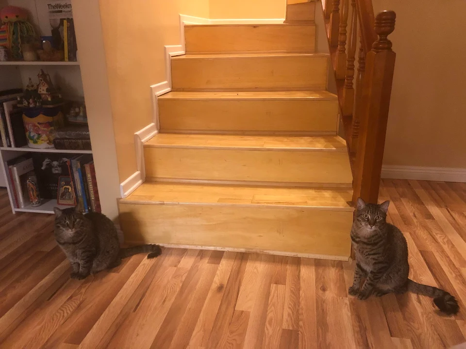 Check out the fancy cat statues at the bottom of my palace stairs