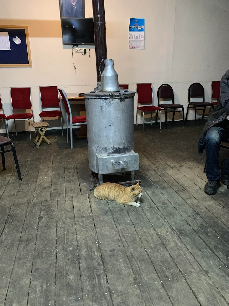 This cat kicking it heavy at the local joint and keeping warm by the stove