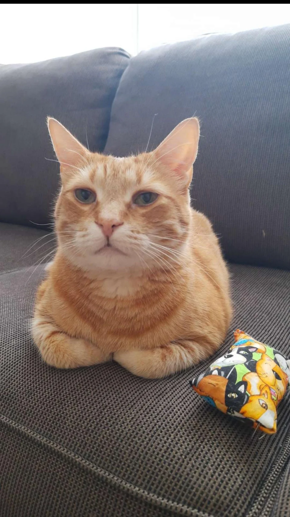 Orange Loaf