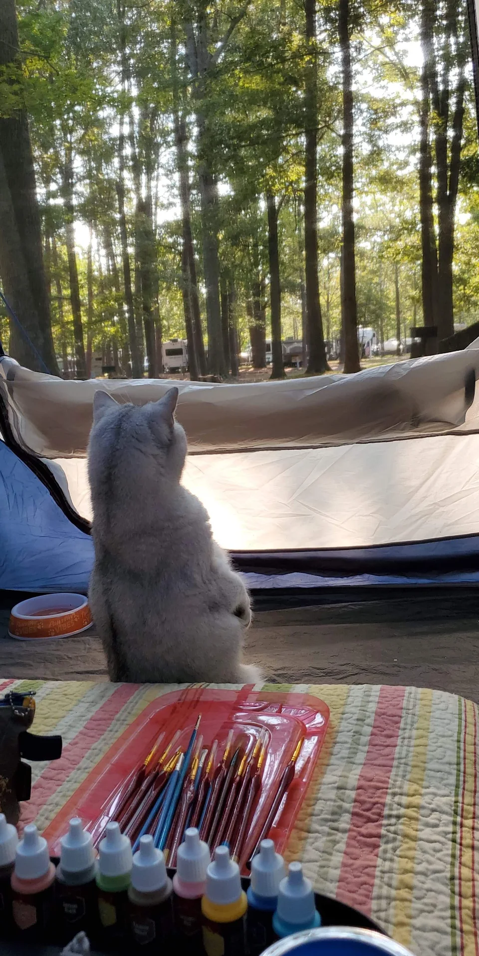 Luna is extremely entertained while camping