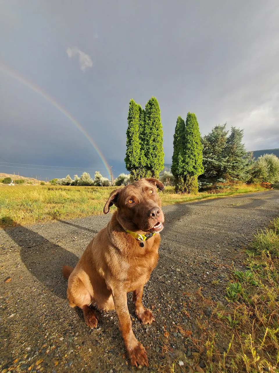 Kilo and a rainbow