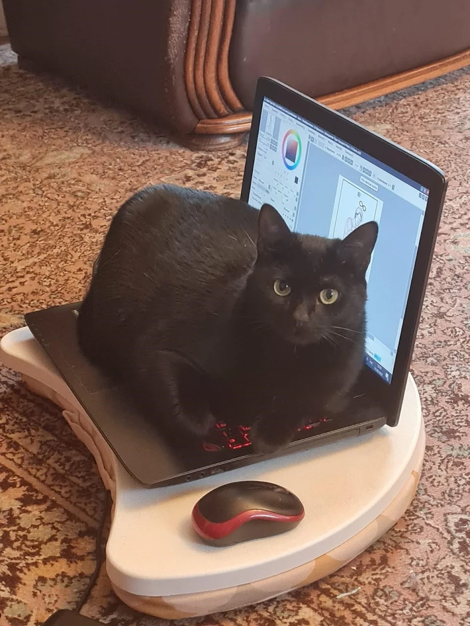 There is a computer mouse, and this is a computer cat