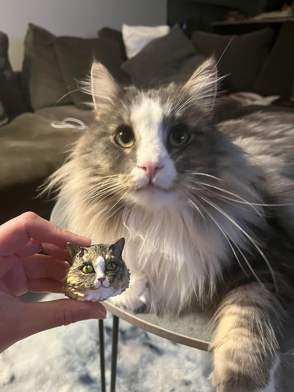 My cat and my handmade cat portrait