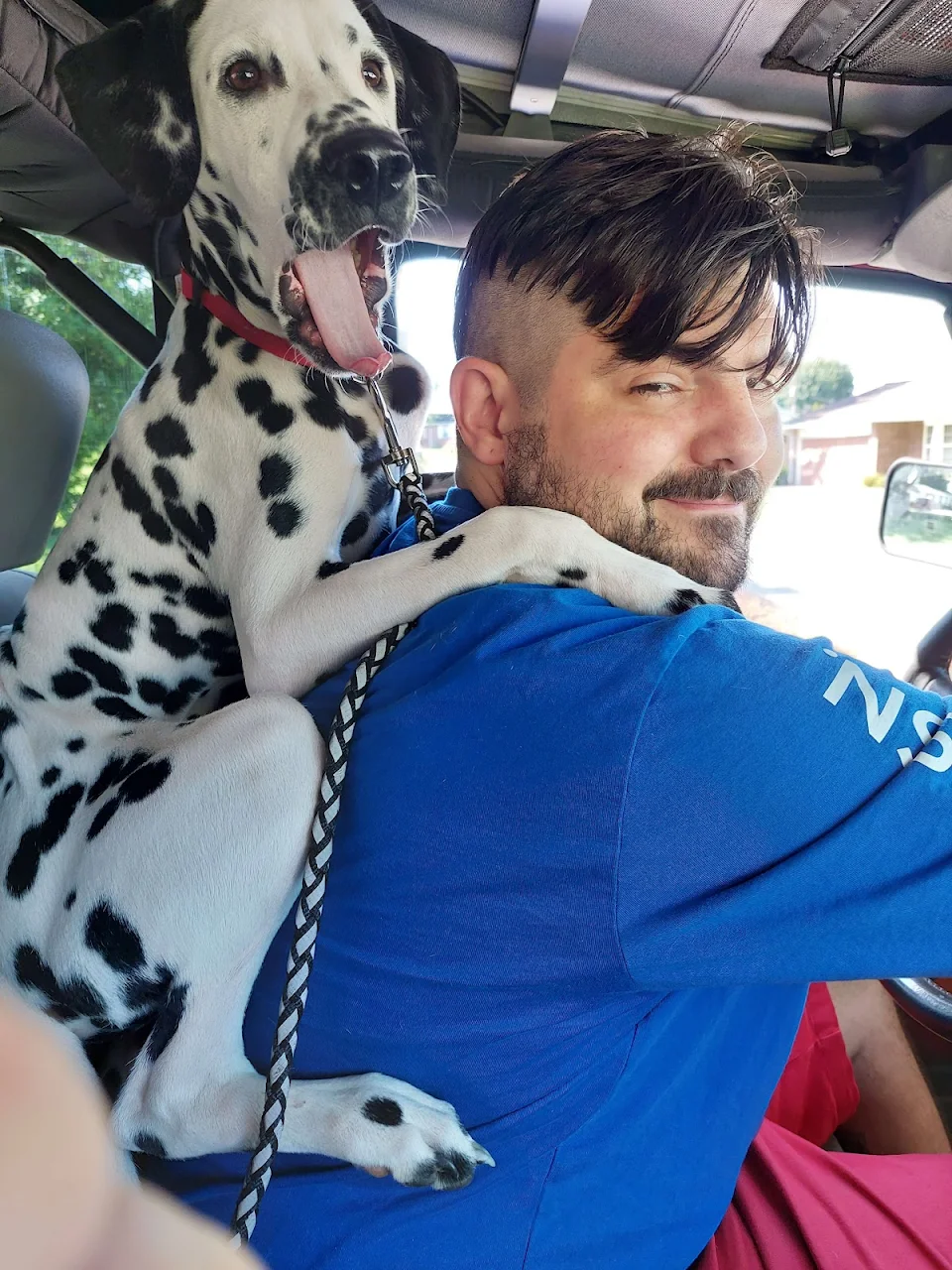 My Dalmatian thinks he's a backpack