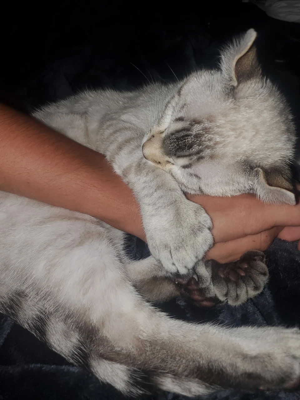 he's hugging my hand, my heart is literally melting