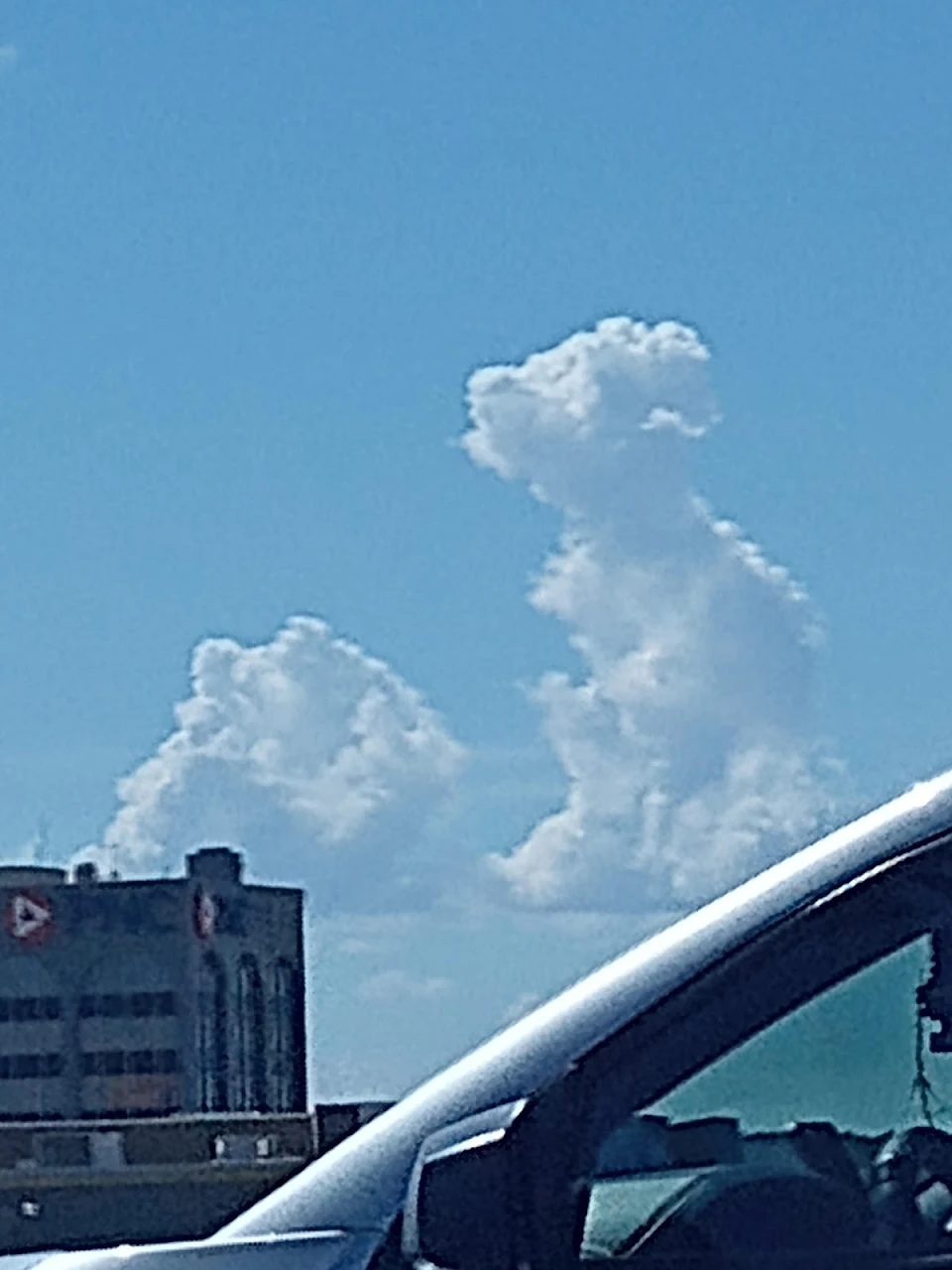 this cloud i found in the shape of a dog