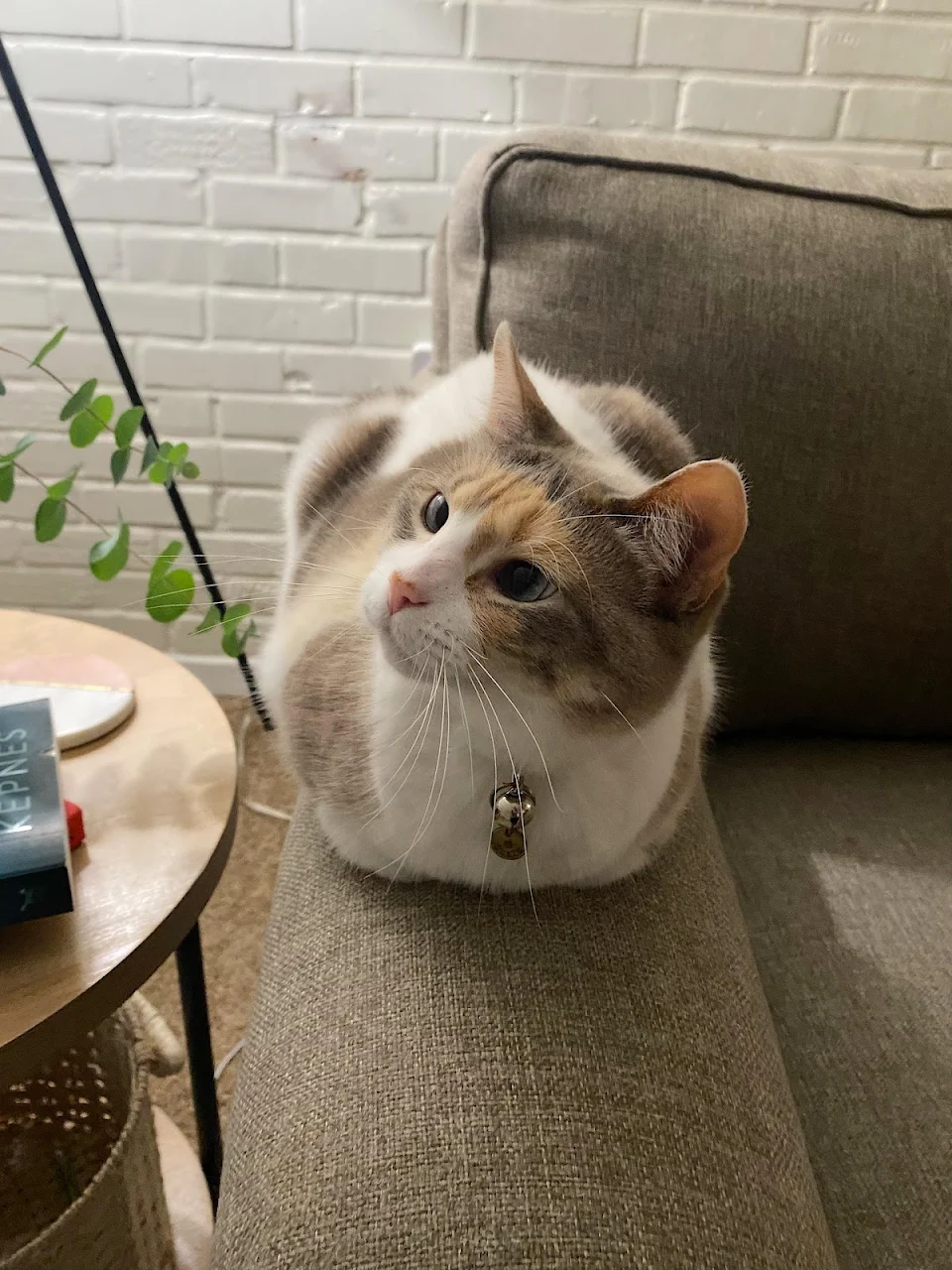 Such a good loaf