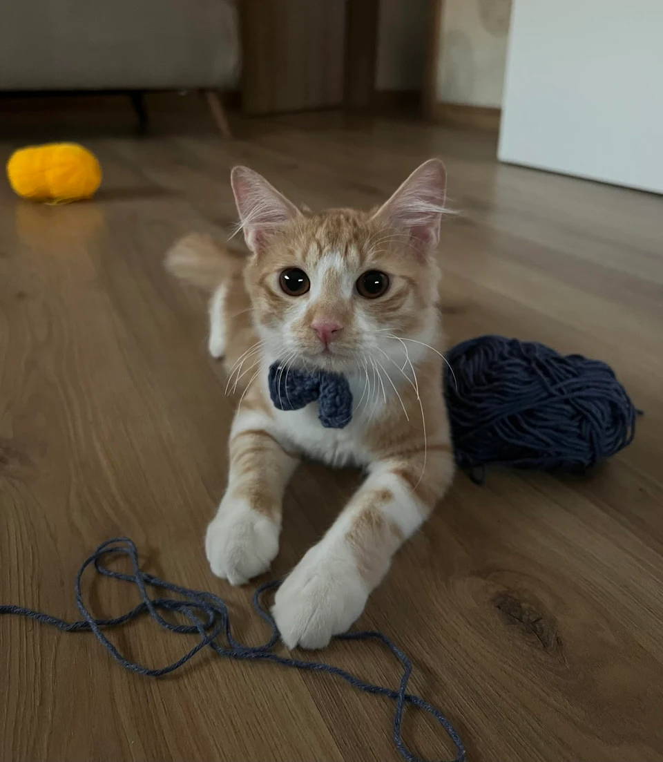 Crochet boy